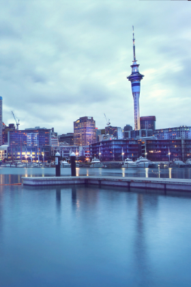 Study In New Zealand With RBS Intellect