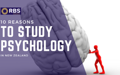 10 Reasons To Study Psychology In New Zealand