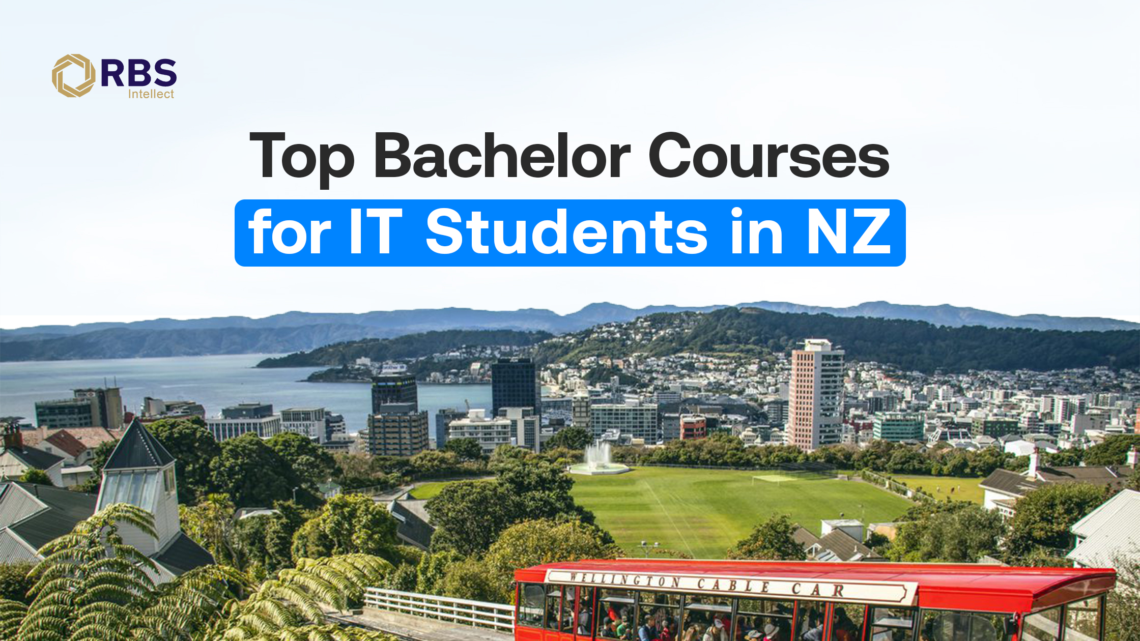 Top Bachelor Courses for IT Students in New Zealand